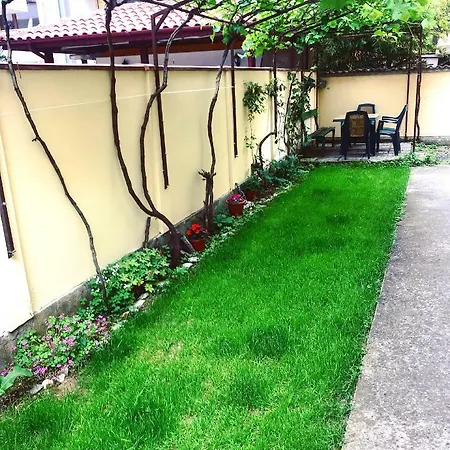 招待所 Family Friends 普里莫尔斯科